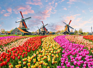 Φωτοταπετσαρία DD118694-Zaanse Schans ( 3,50μ*2,55μ )