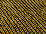 Χαλί Kilim  ZT390 Yellow Αντιολισθητικό KoulisCarpets