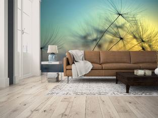 Φωτοταπετσαρία DD118590-Flying Dandelion1  ( 3,50μ*2,55μ )