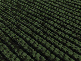 Χαλί Kilim ZT383 Green Αντιολισθητικό KoulisCarpets