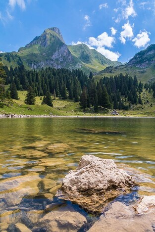 Ρόλερ Ψηφιακής Εκτύπωσης Nature 295-CR