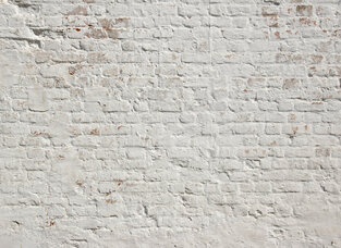 Φωτοταπετσαρία DD118785-Brick White  ( 3,50μ*2,55μ )