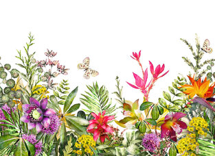 Φωτοταπετσαρία DD118799-Motley Flowers  ( 3,50μ*2,55μ )