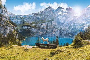 Ρόλερ Ψηφιακής Εκτύπωσης Nature 305-CR