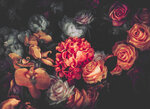 Φωτοταπετσαρία DD118510-Romantic Flowers1 ( 3,50μ*2,55μ )