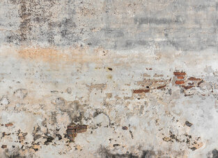 Φωτοταπετσαρία DD118764-Old Wall  ( 3,50μ*2,55μ )