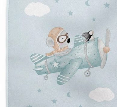 Κουβέρτα Μονή 150X220 Aviator Boreas