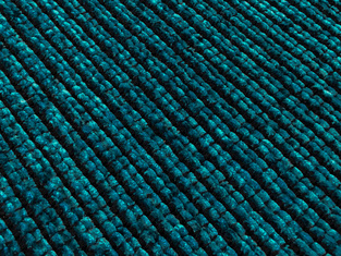Χαλί Kilim ZT394 Blue Αντιολισθητικό KoulisCarpets